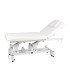 Camilla De Masaje Electrica Lumb