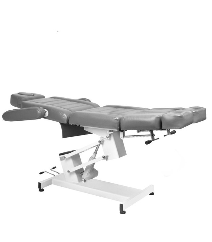 Sillon De Estetica Electrico 1 Motor 706