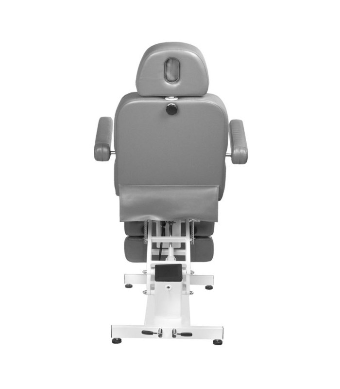 Sillon De Estetica Electrico 1 Motor 706