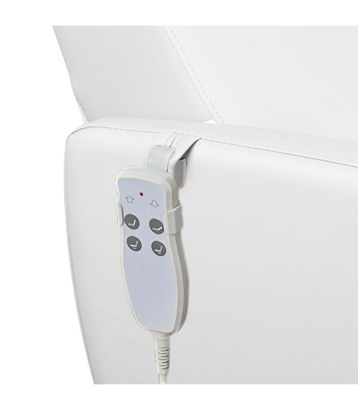 Sillon De Pedicura SPA 016B