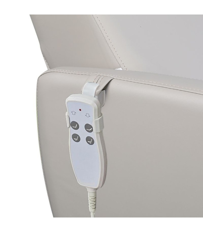 Sillon De Pedicura SPA 016B