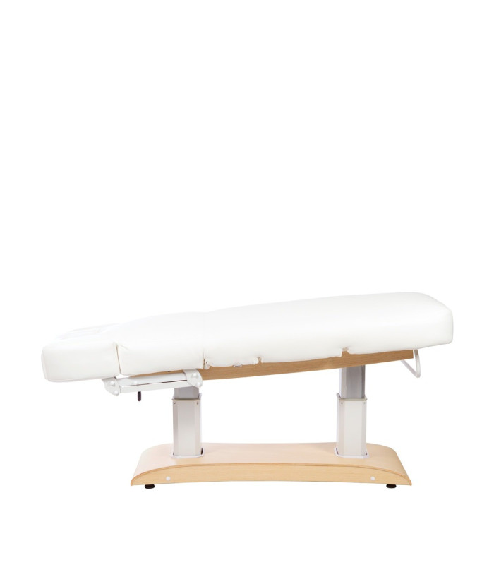 Camilla Electrica Spa Con Calefaccion Chara Evo