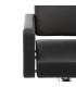 Sillon De Peluqueria Lera