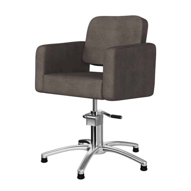 Sillon De Peluqueria Odry