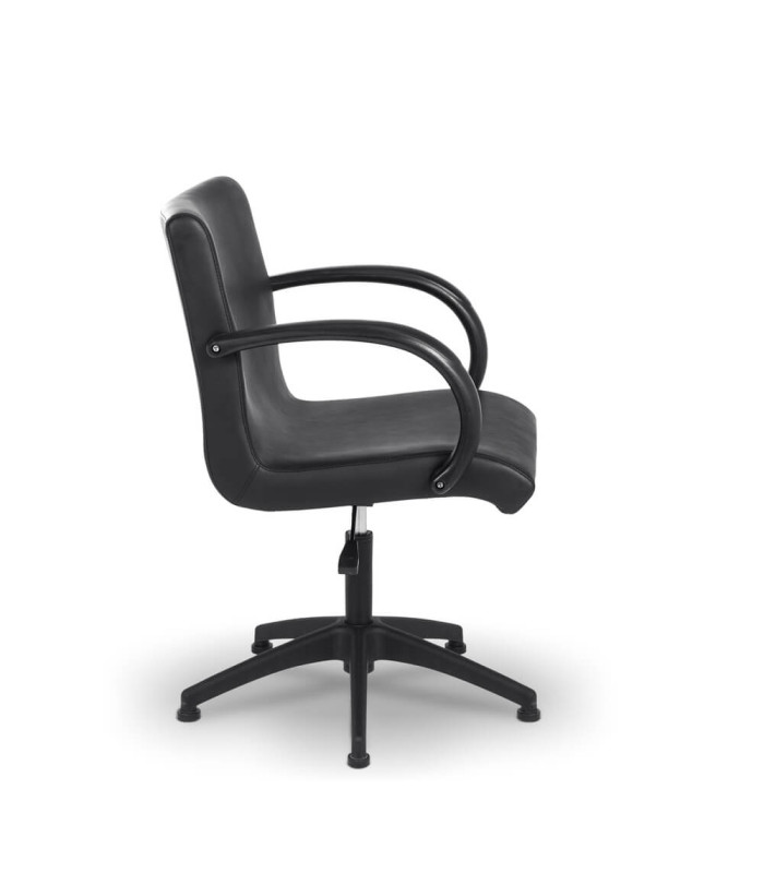 Silla De Peluqueria Molly