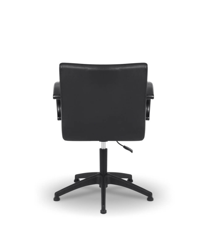 Silla De Peluqueria Molly