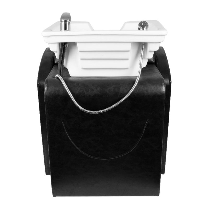 Lavacabezas de Peluqueria Bass