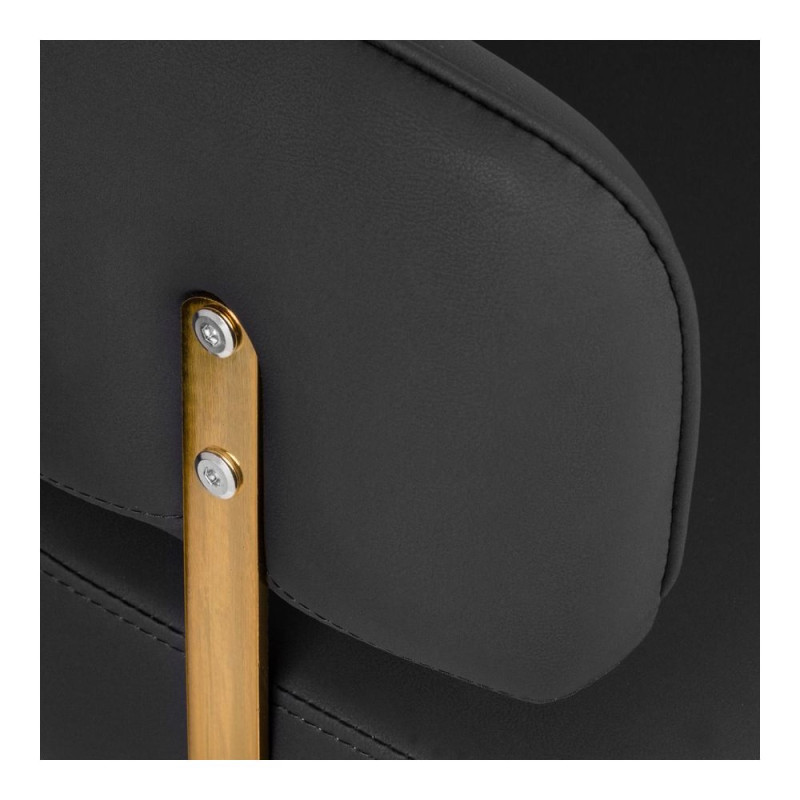 Sillon De Peluqueria Linz Oro