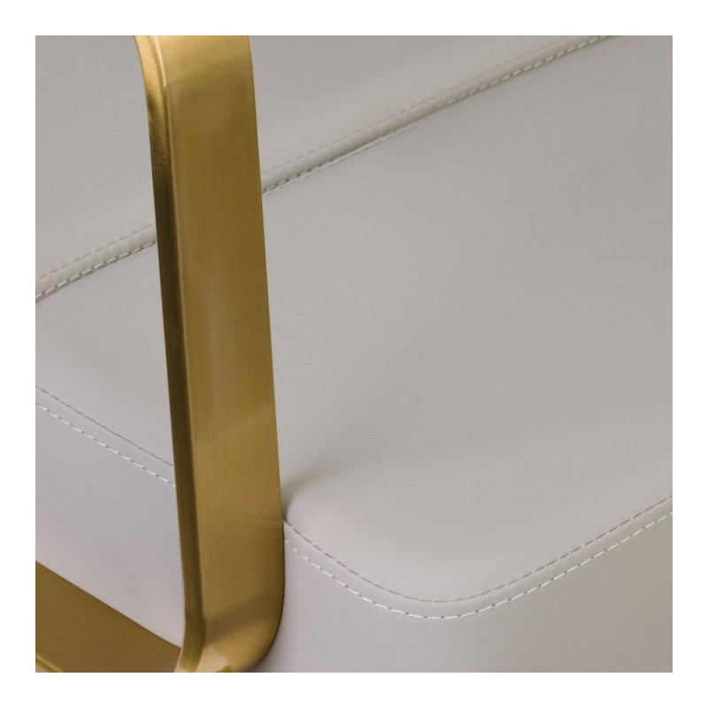 Sillon De Peluqueria Porto Oro