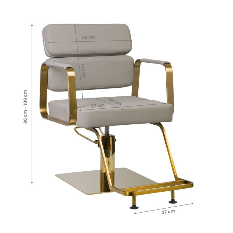 Sillon De Peluqueria Porto Oro