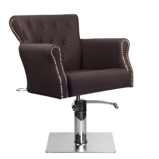 Sillon De Peluqueria Ber