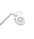 Lupa De Estetica Led Magni