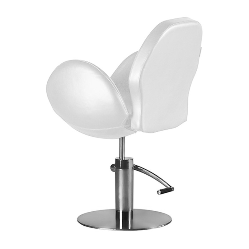 Sillon de Peluqueria Theater