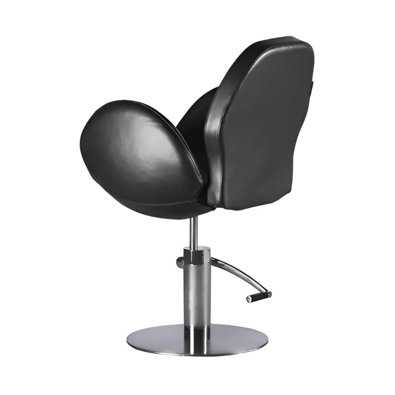 Sillon de Peluqueria Theater