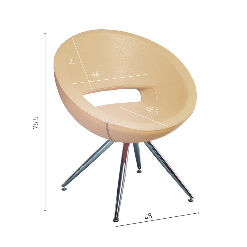 Sillon de Peluqueria Buddy 2