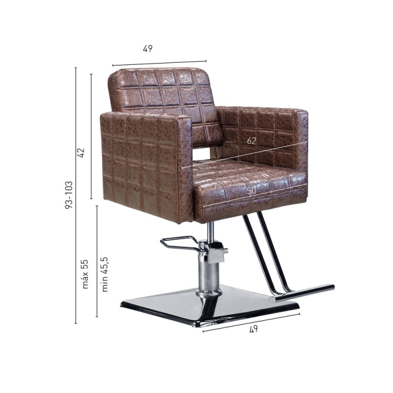 Sillon de Peluqueria Padded Basic