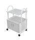 Beauty Trolley Metalica 1
